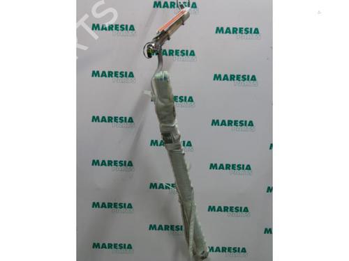 left-curtain-airbag-renault-modus-grand-modus-fjp0_-2004-31536659 main image