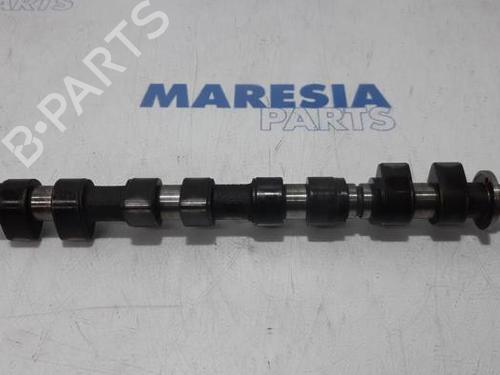 Used Other ALFA ROMEO 166 (936_) 2.0 T.Spark (936A3B00) (150 hp) 31411776