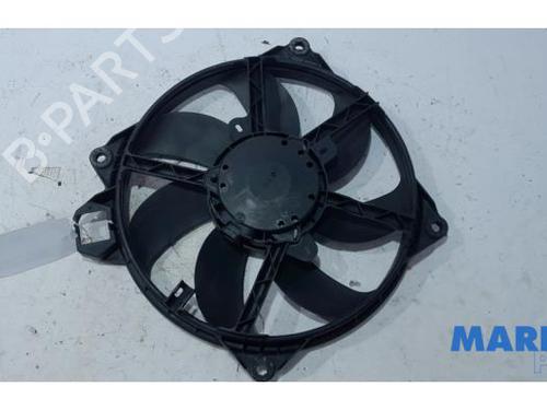 Used Pipe RENAULT SCÉNIC III (JZ0/1_) 2.0 16V (JZ0G, JZ0P, JZ1E, JZ1P) (140 hp) 31412244