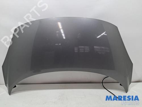 Motorhaube für RENAULT SCÉNIC III (JZ0/1_) 1.6 16V (JZ0U, JZ1B) (110 hp) 31672864