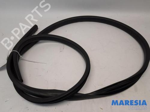 BP31388257C142 main image