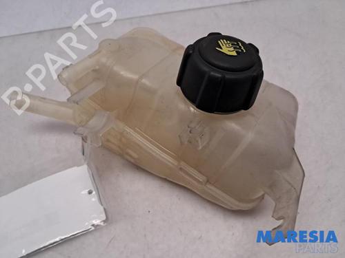 Ekpansionstank Ekpansionstank RENAULT SCÉNIC III (JZ0/1_) 1.6 dCi (JZ00, JZ12) (130 hp) 31418893 31418893