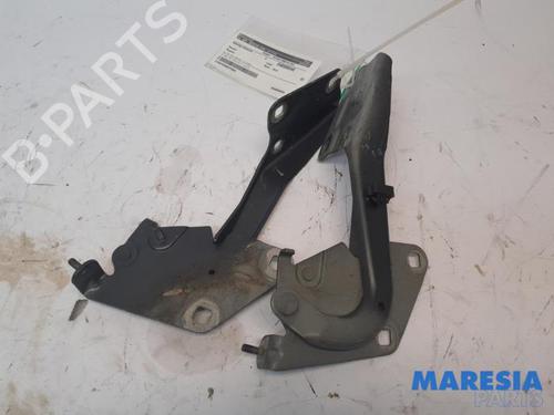 Used Hinge/Door check strap RENAULT MEGANE III Grandtour (KZ0/1) 1.2 TCe (KZ2B, KZ11) (116 hp) 31404022