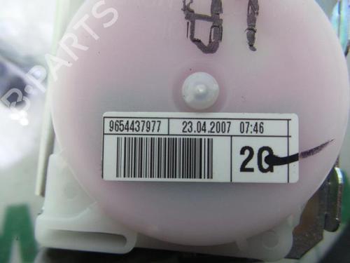 Rear left seatbelt CITROËN C4 Picasso I MPV (UD_) 2.0 i 16V | BP31489920I29