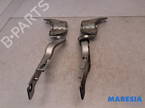 Hinge/Door check strap RENAULT CLIO III Grandtour (KR0/1_) 1.2 16V (KR0P) | BP31408575C146