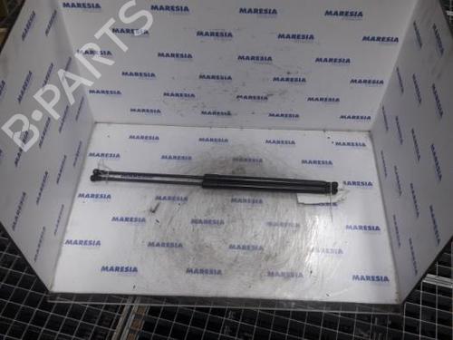 tailgate-lift-support-citroen-c4-grand-picasso-i-ua_-2006-2007-2008-2009-2010-2011-2012-2013-31448738 main image