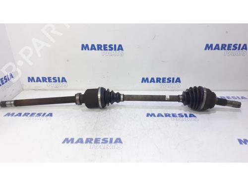 BP31466546M39 main image