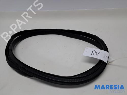 Gummiliste RENAULT MEGANE IV Hatchback (B9A/M/N_) 1.2 TCe 130 (B9MR) (130 hp) 31505295