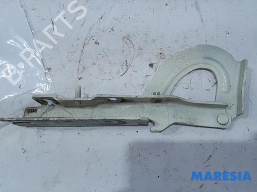 hingedoor-check-strap-citroen-jumpy-ii-van-2007-2008-2009-2010-2011-2012-2013-2014-2015-2016-31512751 main image