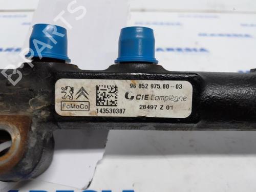 Injection rail PEUGEOT 2008 I (CU_) 1.6 HDi | BP31507182M98