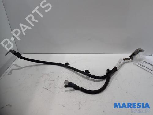 Elektronisk sensor CITROËN C4 CACTUS 1.6 BlueHDi 100 (99 hp) 31486860