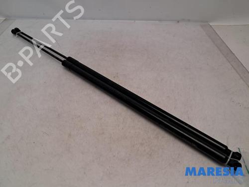 tailgate-lift-support-renault-kangoo-grand-kangoo-ii-kw01_-2008-31413498 main image