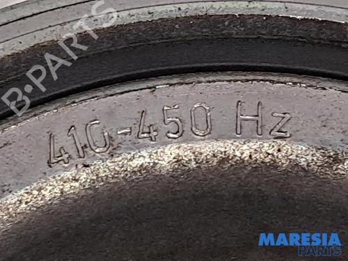 Pulley CITROËN C4 II (NC_) 1.6 VTi 120 (NC5FS0, NC5FS9) | BP31520829M122