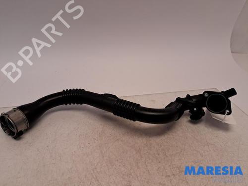 Used Exhaust system RENAULT CLIO IV (BH_) 0.9 TCe 90 (BHNF, BHMA, BHMH, BHJK, BHJR) (90 hp) 31530899