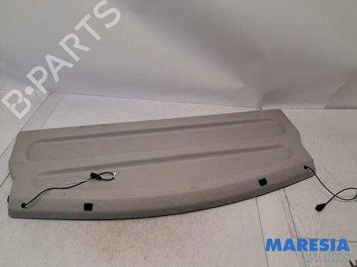 Hattehylde RENAULT ZOE Hatchback Van (BFM_) Electric (BFME) (92 hp) 31496629