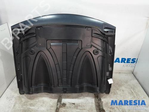 Tampa da Mala RENAULT WIND (E4M_) 1.2 TCe 100 (E4MF) | BP31414229C6 