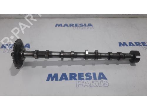 BP31436762O1 main image