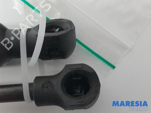 Gasdæmper bagklap RENAULT ZOE (BFM_) ZOE | BP31413621C138