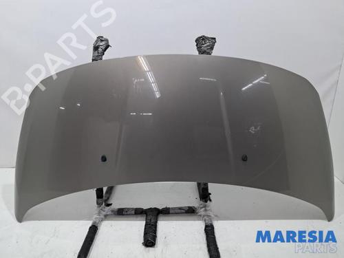 Panser PEUGEOT 3008 I MPV (0U_) 1.6 THP (150 hp) 31632184