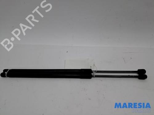 Used Tailgate lift support Tailgate lift support FIAT 500L (351_, 352_) 1.4 (199LYB1B) (95 hp) 40235628 40235628