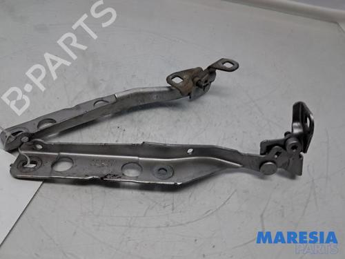 Hinge/Door check strap CITROËN C4 Picasso II 1.6 THP 155 | BP31403443C146