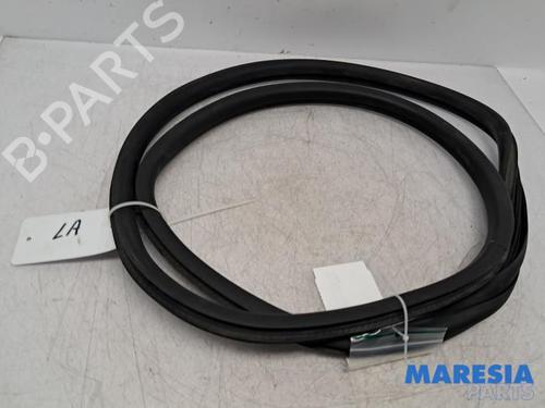 Gummiliste CITROËN C4 CACTUS 1.2 THP 110 (110 hp) 31461136