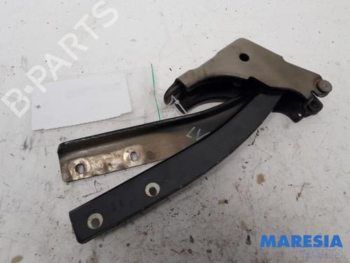 Hinge/Door check strap FIAT PUNTO EVO (199_) 1.3 D Multijet | BP31480038C146