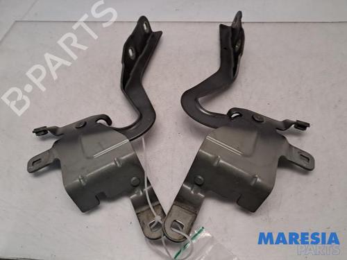 Used Hinge/Door check strap Hinge/Door check strap RENAULT CLIO IV Grandtour (KH_) 0.9 TCe 90 (90 hp) 39896476 39896476