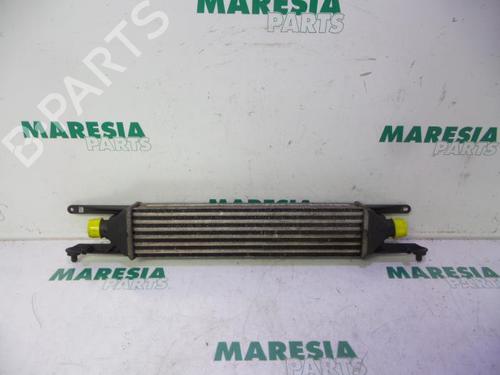 Used Intercooler FIAT PUNTO EVO Hatchback Van (199_) 1.3 D Multijet (199.AXT1A, 199.AXC1A) (75 hp) 31386113