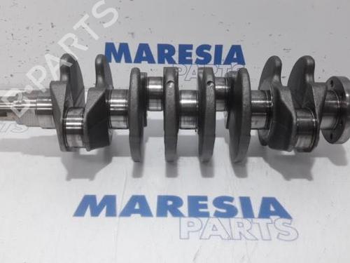 BP31514385O1 main image