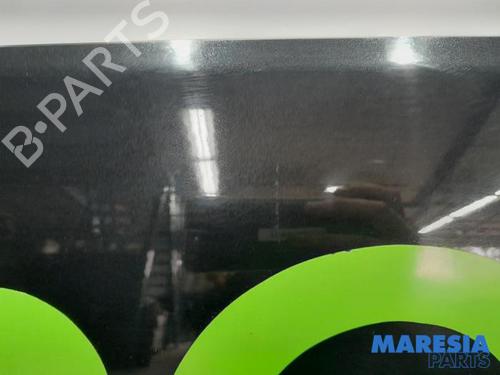 Left front door RENAULT WIND (E4M_) 1.2 TCe 100 (E4MF) | BP31449488C2 