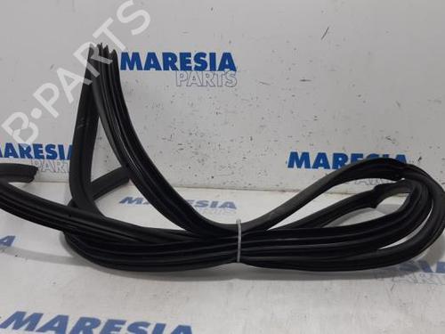 rubber-door-seal-renault-trafic-iii-van-fg_-2014-31398921 main image