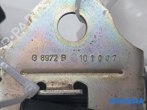 Rear left seatbelt FIAT PUNTO EVO (199_) 1.3 D Multijet | BP31490223I29