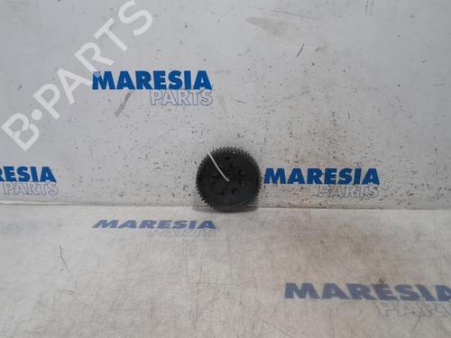 Polea LANCIA DELTA III (844_) 1.6 D Multijet (844.AXC11, 844.AXC1A) (120 hp) 31475379