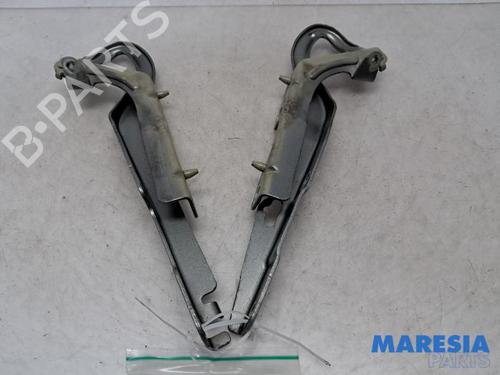 Used Hinge/Door check strap PEUGEOT 207 CC (WD_) 1.6 16V (120 hp) 31442629