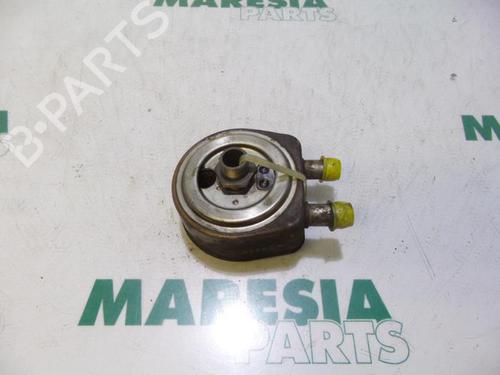 Used Oil radiator RENAULT MEGANE II Estate (KM0/1_) 1.9 dCi (KMRG, KM1G, KM0G, KM2C) (120 hp) 31443003