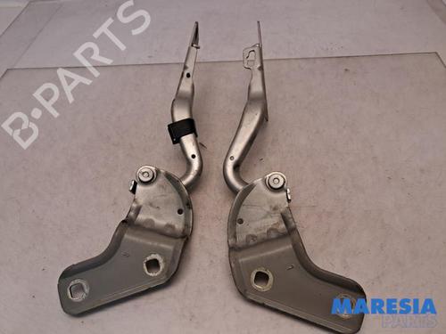 Hinge/Door check strap RENAULT CLIO III Grandtour (KR0/1_) 1.2 16V (KR0P) | BP31408575C146