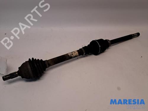 BP31516979M39 main image