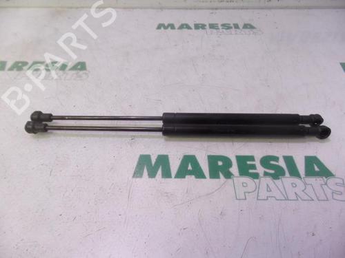 Used Tailgate lift support RENAULT SCÉNIC II (JM0/1_) 2.0 (JM05, JM0U, JM1N, JM1U, JM2V) (135 hp) 31427457