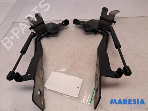 Dørhængsel/Dørbegrænser RENAULT SCÉNIC III (JZ0/1_) 1.6 dCi (JZ00, JZ12) (130 hp) 31507263