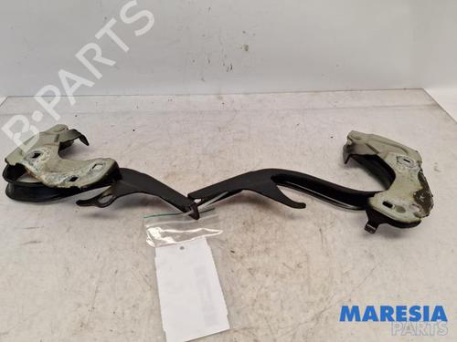 BP31386273C146 main image