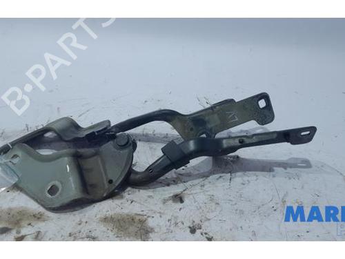 Used Hinge/Door check strap RENAULT CLIO III Grandtour (KR0/1_) 1.2 16V (KR02, KR0J) (75 hp) 31486325