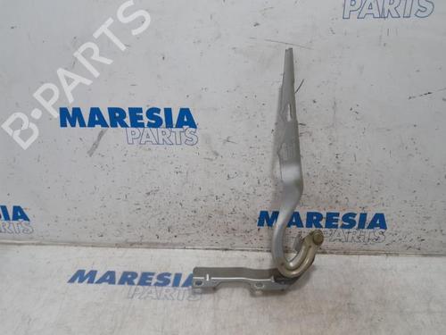 Used Hinge/Door check strap PEUGEOT 207 CC (WD_) 1.6 16V Turbo (150 hp) 31500169