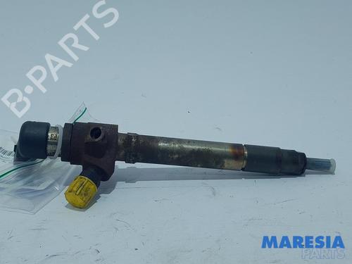 Injector CITROËN C5 III Break (RW_) 2.7 HDi | BP31449191M100