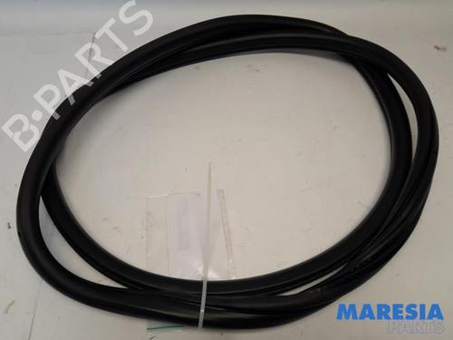 Gummilist DS DS 4 / DS 4 CROSSBACK (NX_) 1.6 BlueHDi 120 (120 hp) 31436876