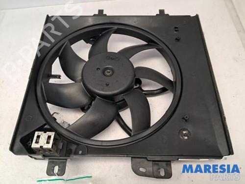 Used Pipe CITROËN C3 II (SC_) 1.2 VTi 82 (82 hp) 31396625