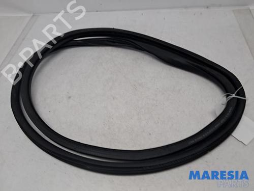 rubber-door-seal-citroen-c3-iii-sx-2016-31431269 main image