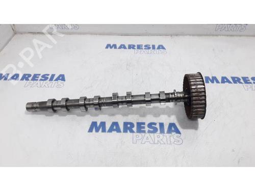 BP31423154O1 main image