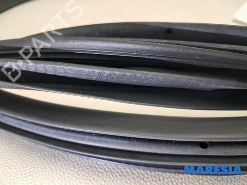 Gummiliste RENAULT CAPTUR I (J5_, H5_) 1.2 TCe 120 | BP31816450C142