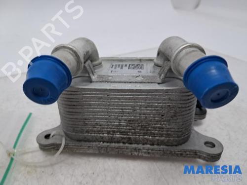 Used Oil radiator RENAULT CLIO IV Grandtour (KH_) 1.2 TCe 120 (KHM0) (120 hp) 31482004